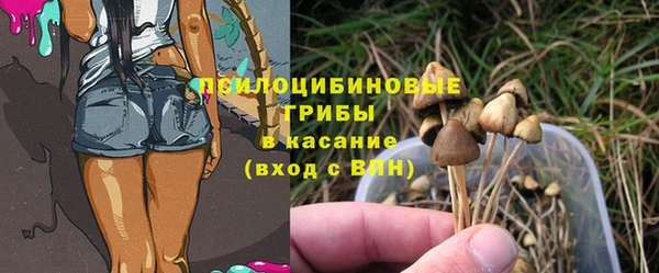 трава Алзамай