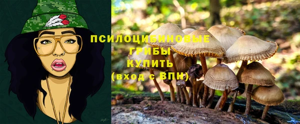 марки nbome Новокубанск